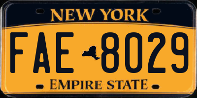 NY license plate FAE8029