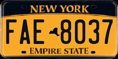 NY license plate FAE8037