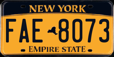 NY license plate FAE8073