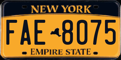 NY license plate FAE8075