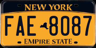 NY license plate FAE8087