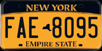 NY license plate FAE8095