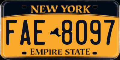 NY license plate FAE8097
