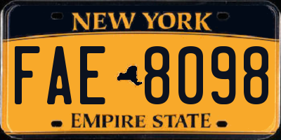 NY license plate FAE8098