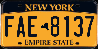NY license plate FAE8137