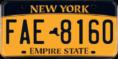 NY license plate FAE8160