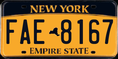 NY license plate FAE8167