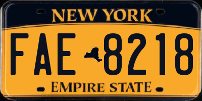 NY license plate FAE8218