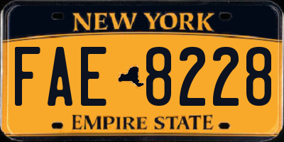 NY license plate FAE8228