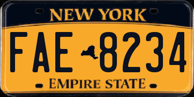 NY license plate FAE8234