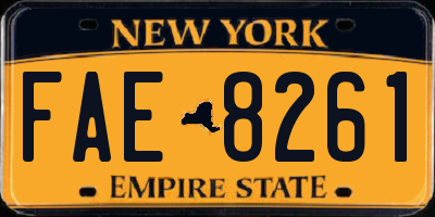 NY license plate FAE8261