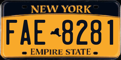 NY license plate FAE8281
