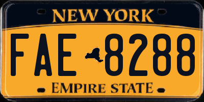 NY license plate FAE8288
