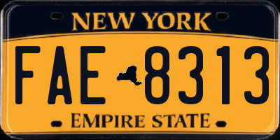 NY license plate FAE8313