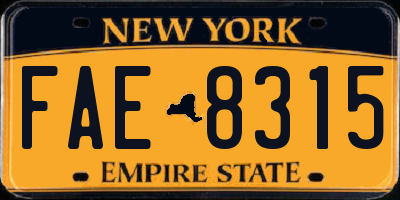NY license plate FAE8315