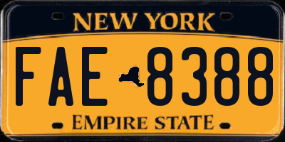NY license plate FAE8388