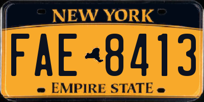 NY license plate FAE8413