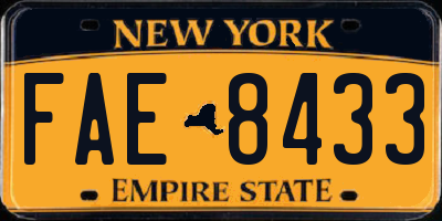 NY license plate FAE8433