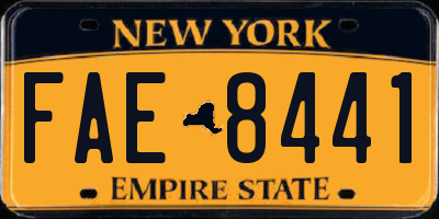 NY license plate FAE8441