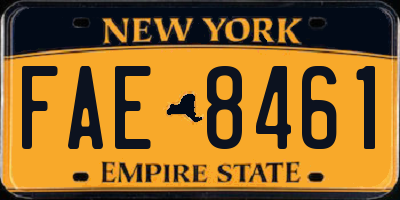 NY license plate FAE8461