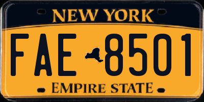 NY license plate FAE8501