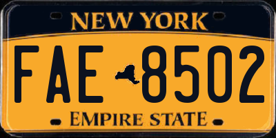 NY license plate FAE8502