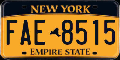 NY license plate FAE8515