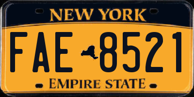NY license plate FAE8521