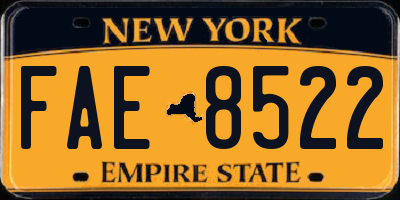 NY license plate FAE8522
