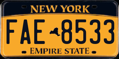 NY license plate FAE8533