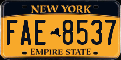 NY license plate FAE8537