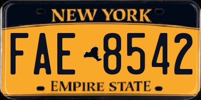 NY license plate FAE8542