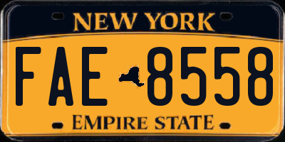 NY license plate FAE8558