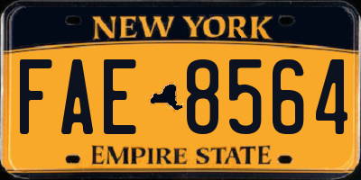 NY license plate FAE8564