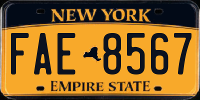 NY license plate FAE8567