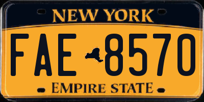 NY license plate FAE8570