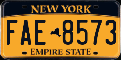 NY license plate FAE8573