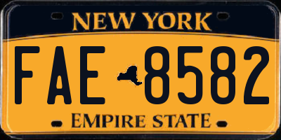 NY license plate FAE8582