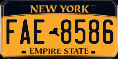 NY license plate FAE8586