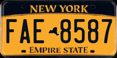 NY license plate FAE8587