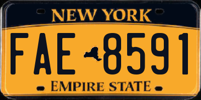 NY license plate FAE8591