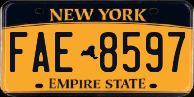 NY license plate FAE8597