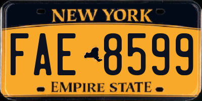 NY license plate FAE8599