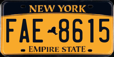 NY license plate FAE8615