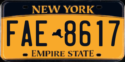 NY license plate FAE8617