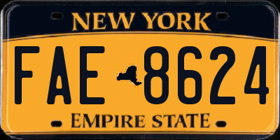 NY license plate FAE8624
