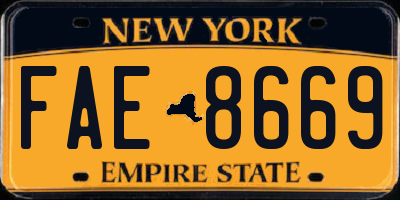 NY license plate FAE8669