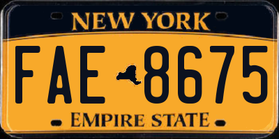 NY license plate FAE8675