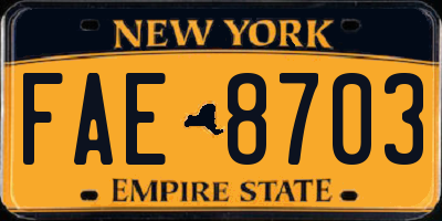 NY license plate FAE8703