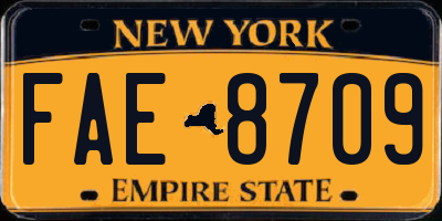 NY license plate FAE8709